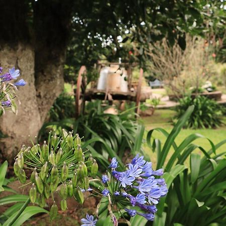 La Huerta Villa Mazamitla Bagian luar foto
