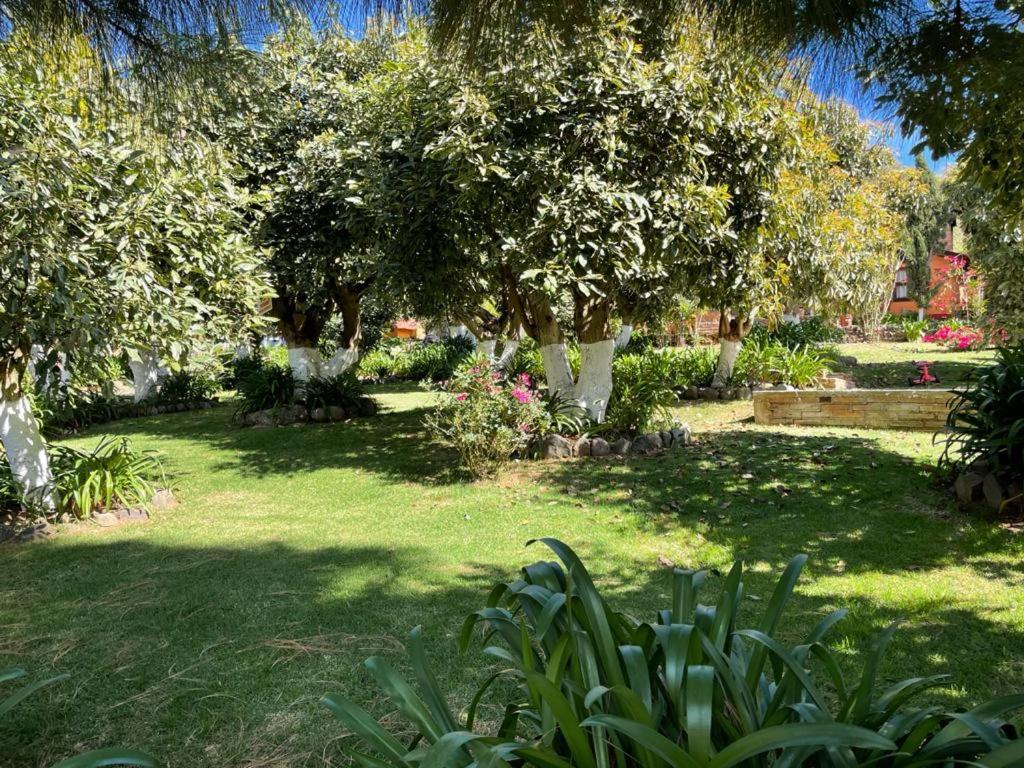 La Huerta Villa Mazamitla Bagian luar foto
