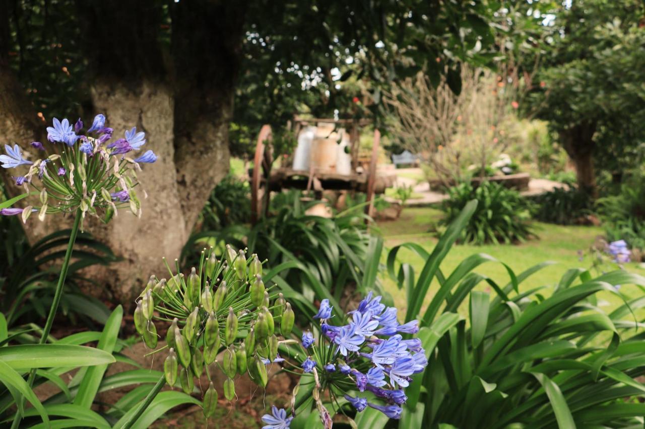 La Huerta Villa Mazamitla Bagian luar foto