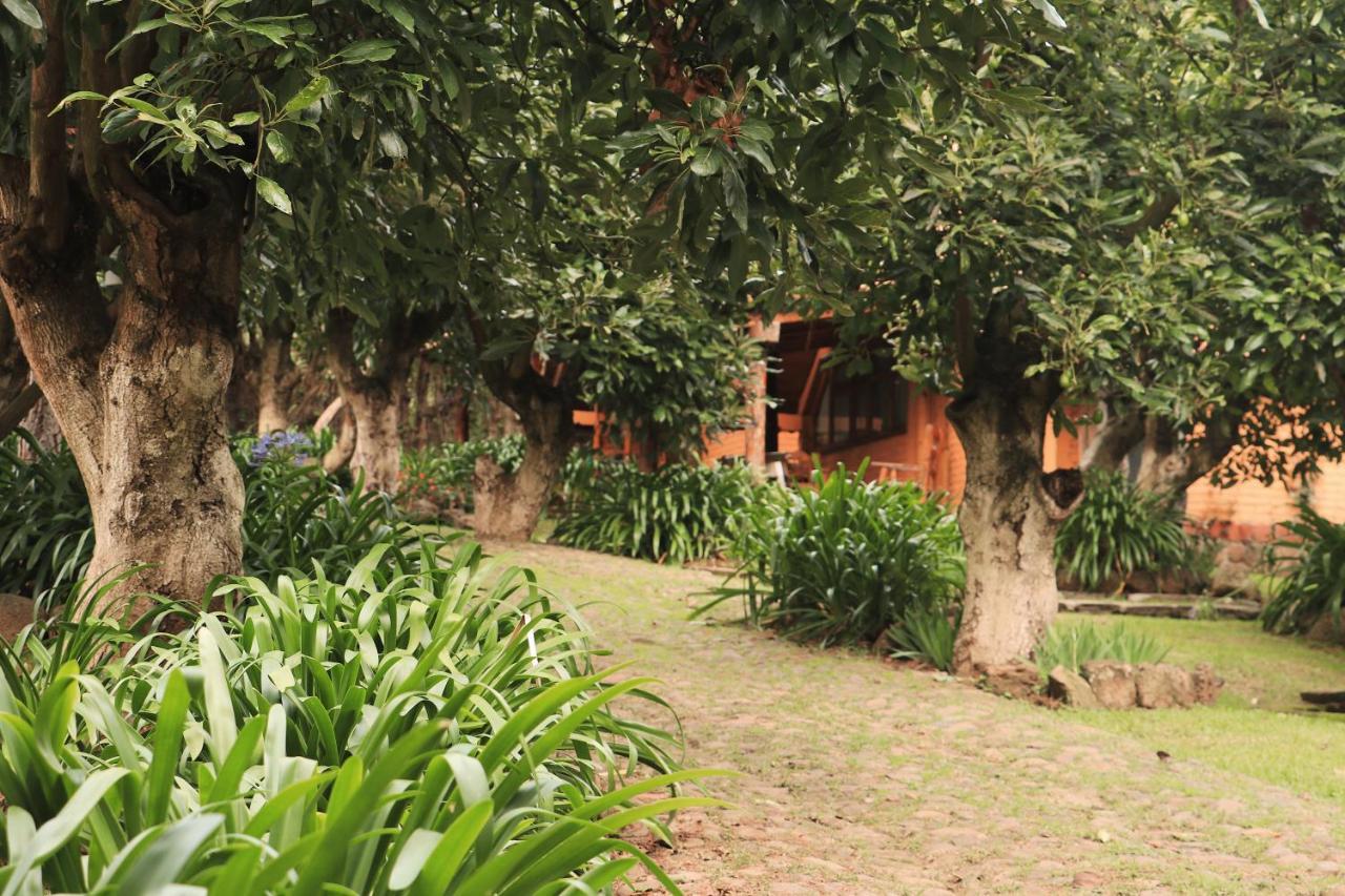 La Huerta Villa Mazamitla Bagian luar foto