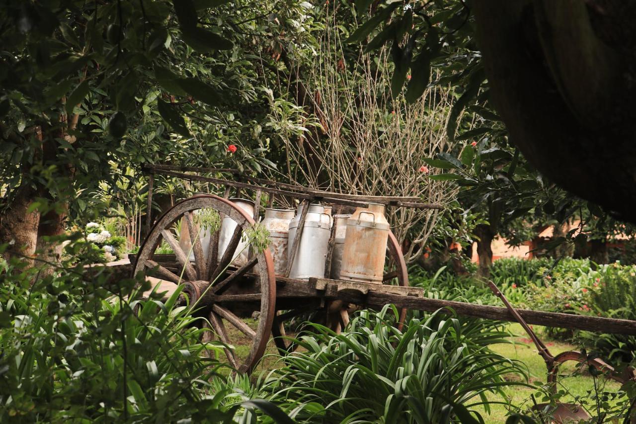 La Huerta Villa Mazamitla Bagian luar foto